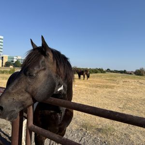Ride image
