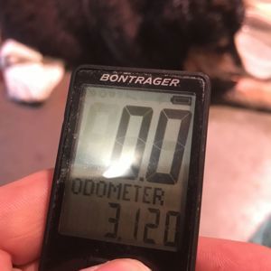 Ride image