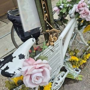 Ride image