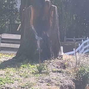 Ride image