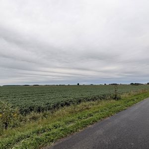 Ride image
