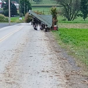 Ride image