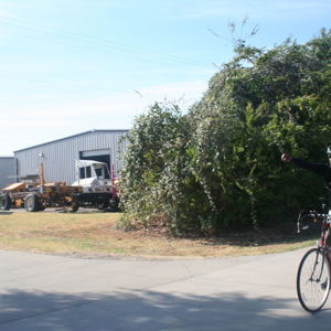 Ride image