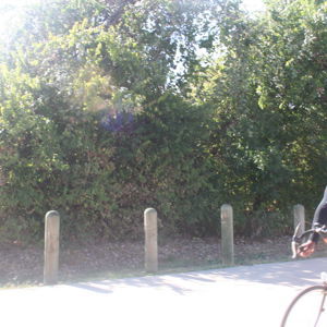 Ride image