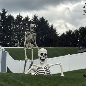 Ride image