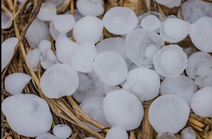 Texas Hail
