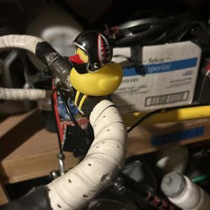 Kick Ass!