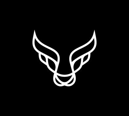 The Raging Bulls