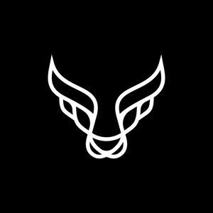 The Raging Bulls