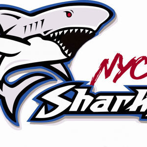 NYC SHARKS