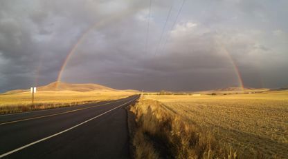 North Idaho Knuckle-heads