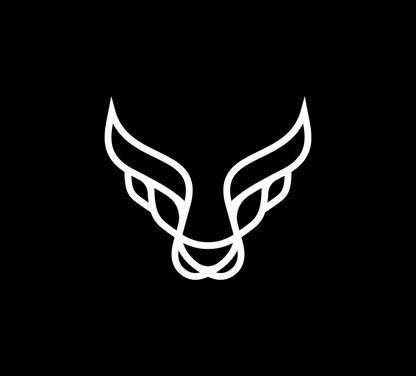 The Raging Bulls