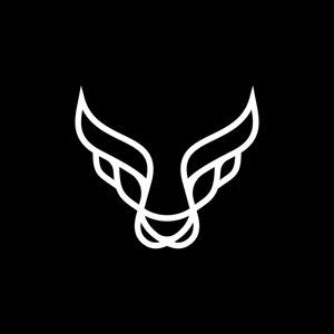 The Raging Bulls