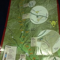 20044