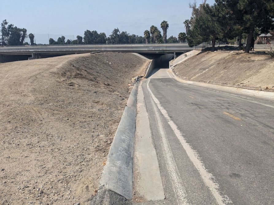 Cycling along the Riverbed.