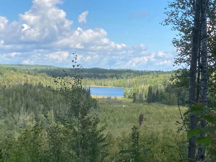 Chippewa Forest ride