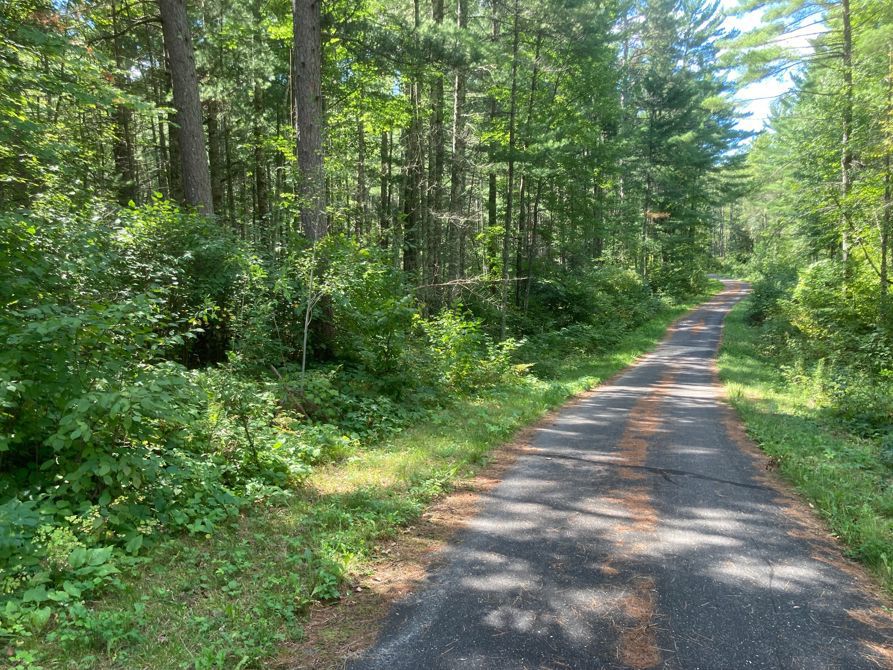 Shingobee Twp-Chippewa Natl Forest: 22 miles