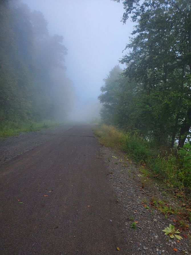 Foggy morning