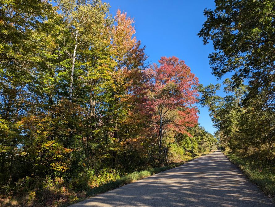 A perfect day for a fall bike ride!