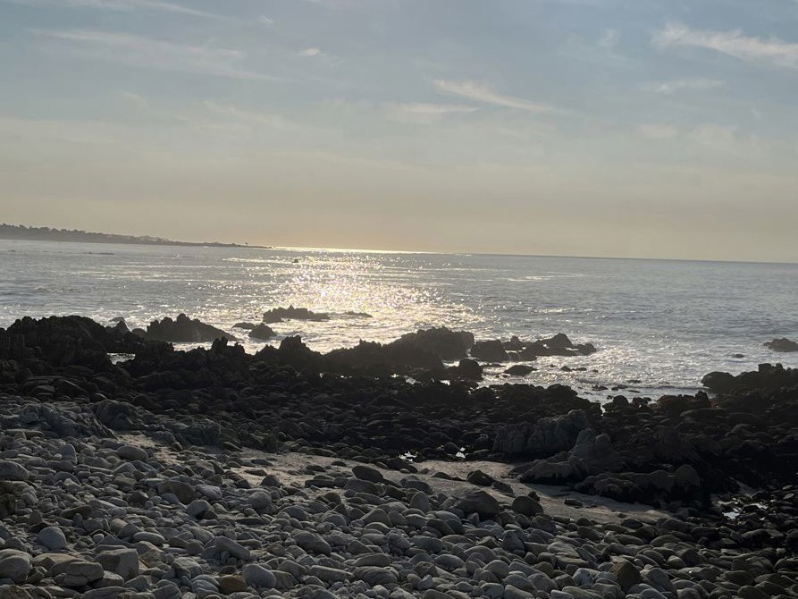 2025 and cancer is still an ugly killer.