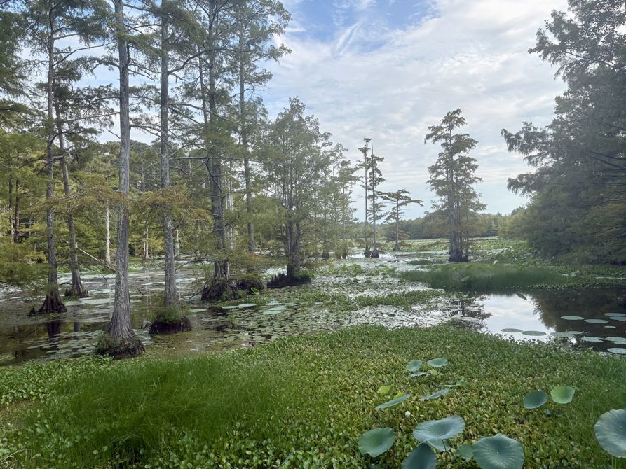 Labor Day ride- 15.23 miles