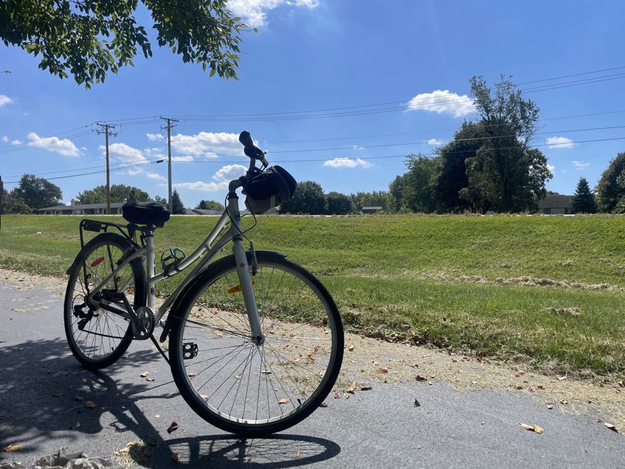 Back in the saddle