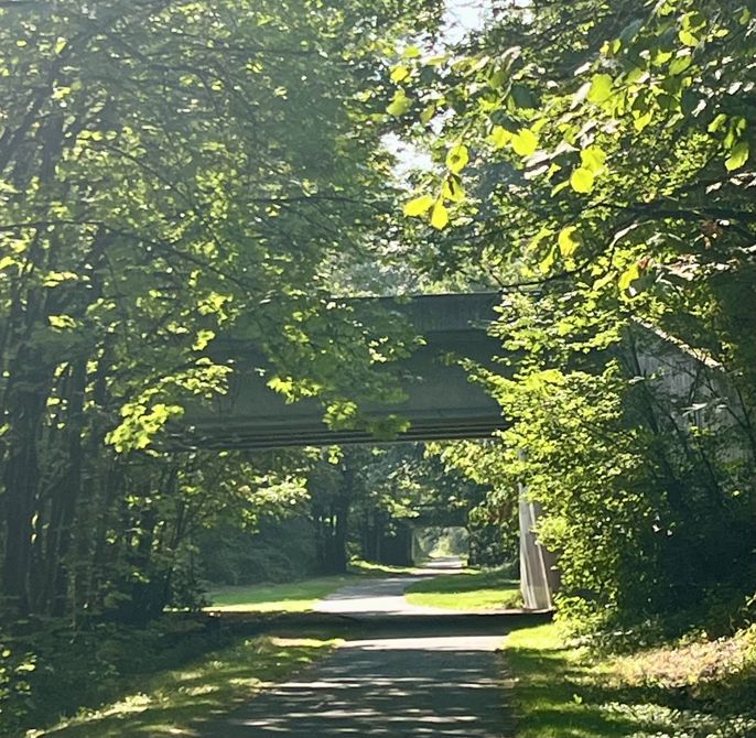 Cedar River trail