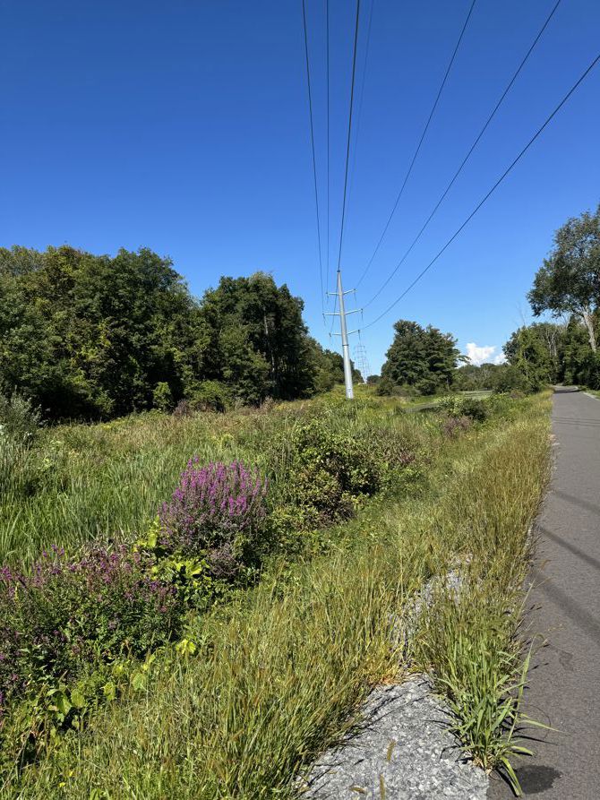 A Ride Through Nature’s Whisper