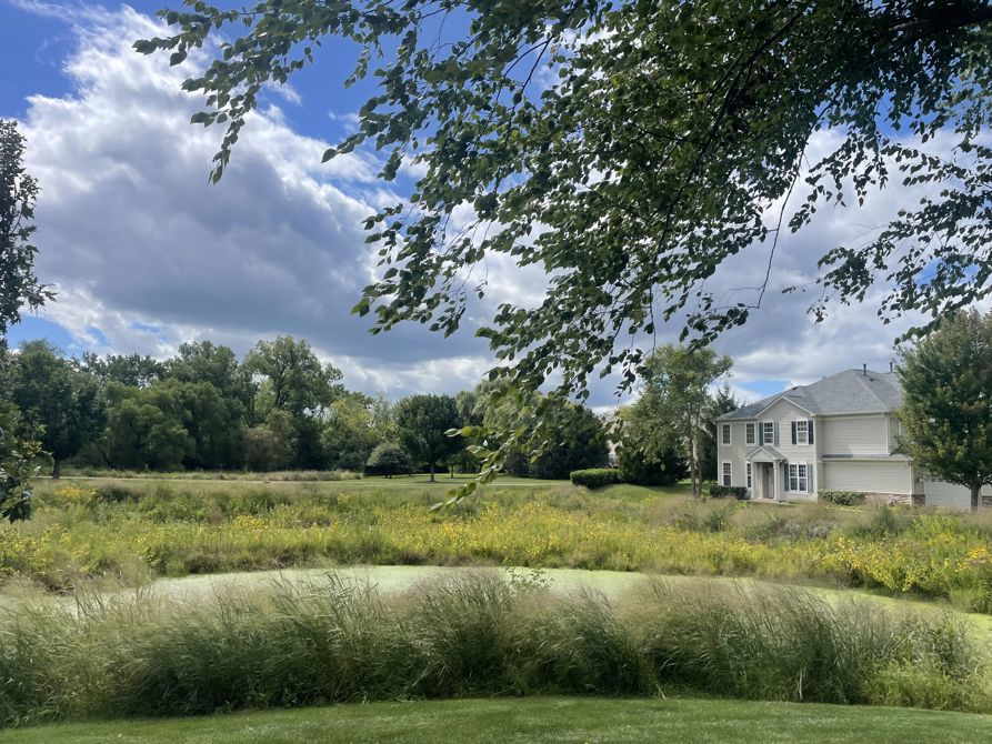 Wind is not my biking friend