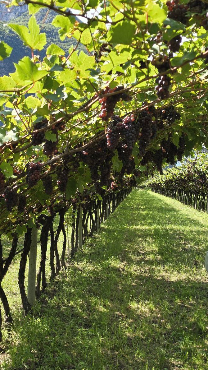 Riding in Northern Italy