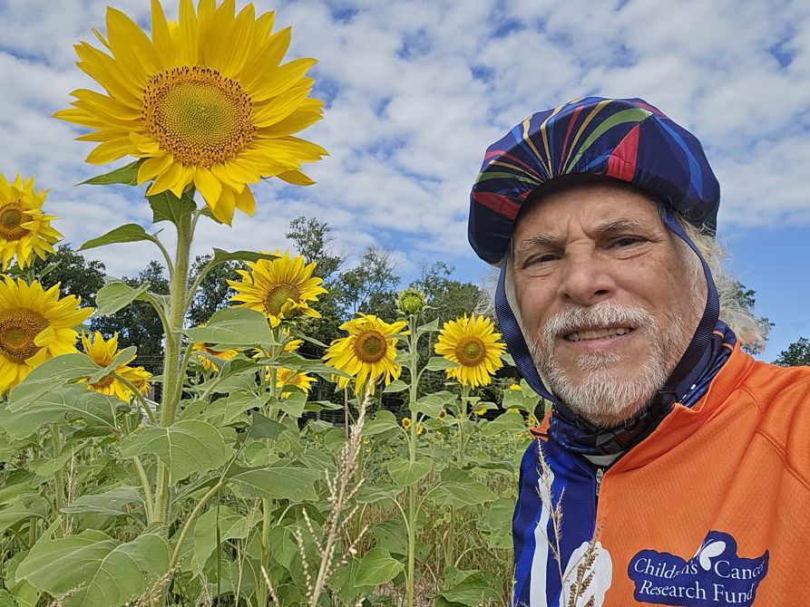 🌻 🌻 🌻 🌻 🌻