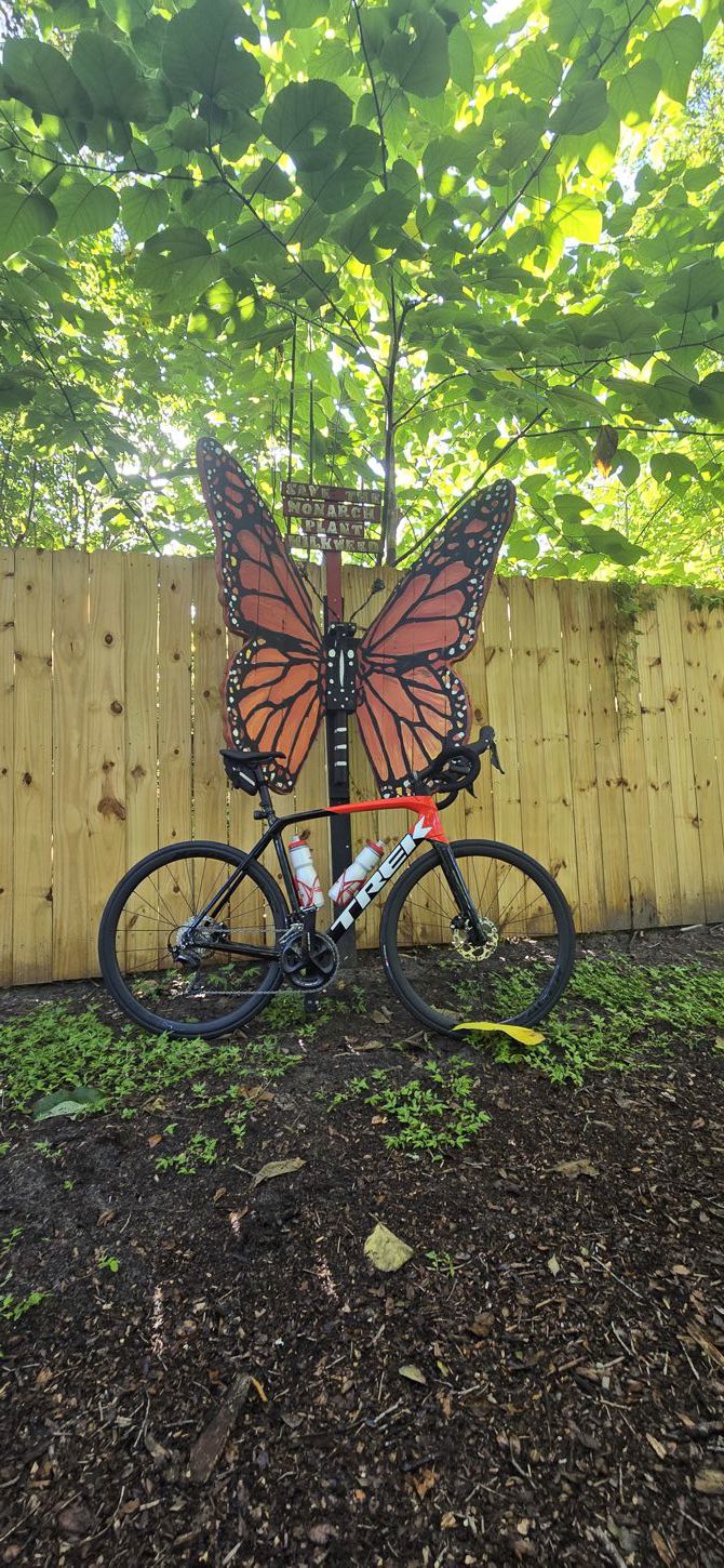 Riding with the butterflies