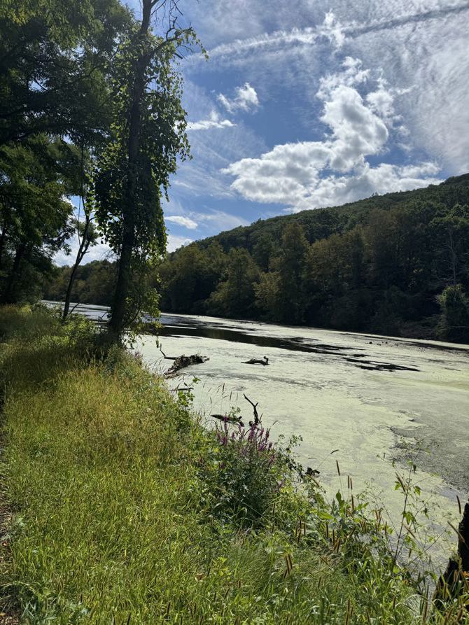 Shout out to the sponsors