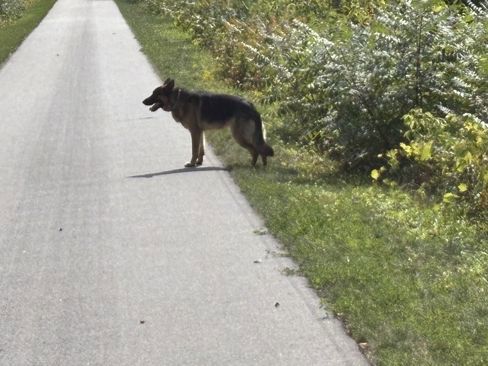 September 9, 2025 Long Ride Day!