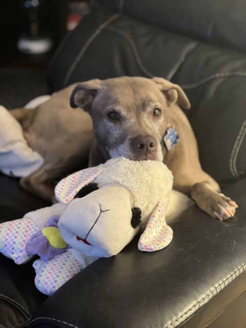 This year, cancer hits closer to home.