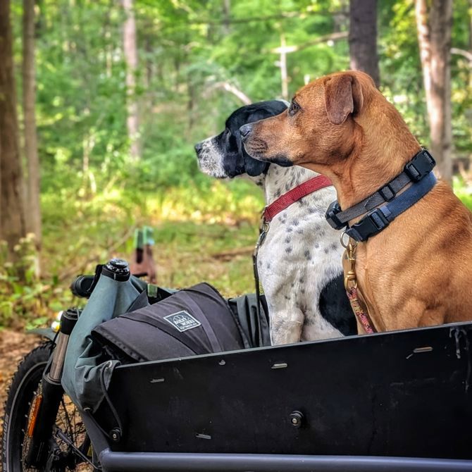 Thanks for the incredible support on Match Day!