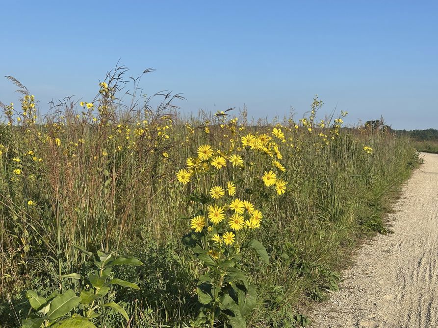 Ride 5 - Halfway Through