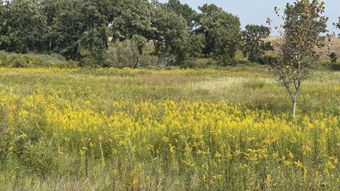 I got a flat tire today 😄