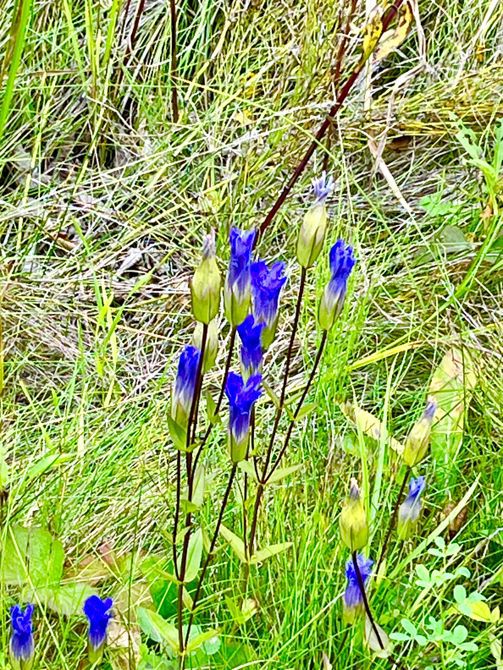 Finally made it to La Porte MN