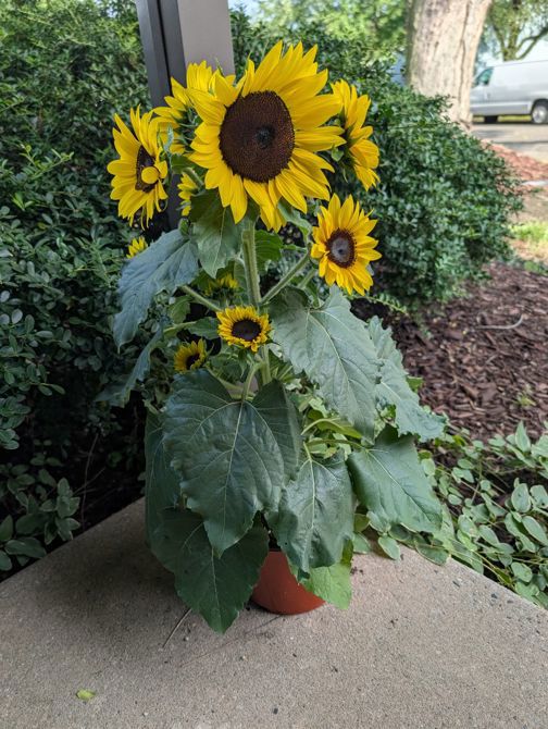 15 days into month, 76 miles done