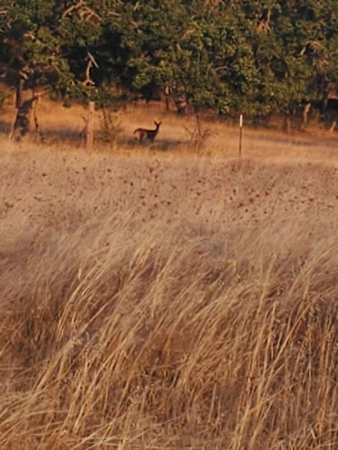 Ride 8 - 13.64 miles