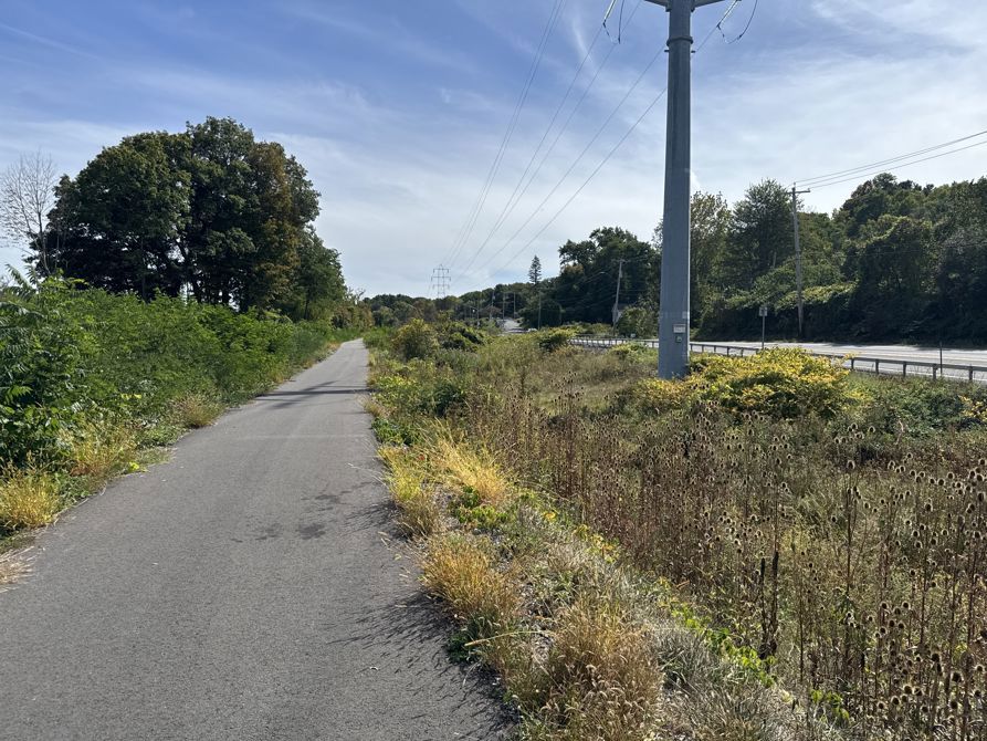 One Last Push for Stephanie’s Legacy