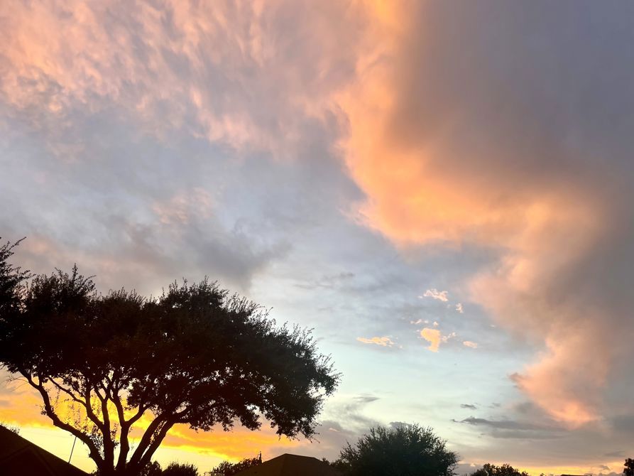 Beautiful sunset this evening!