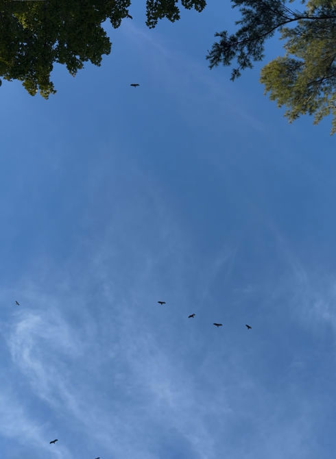 Riding riding and more riding :)