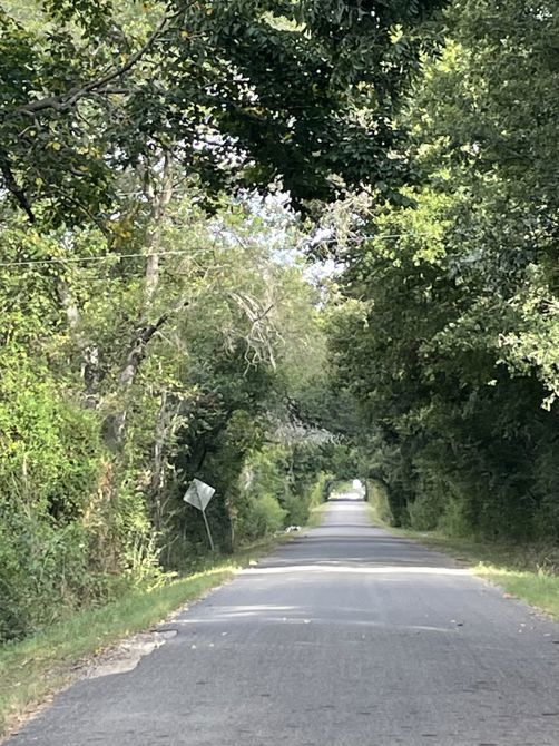 Josh and Beth’s road is pretty.