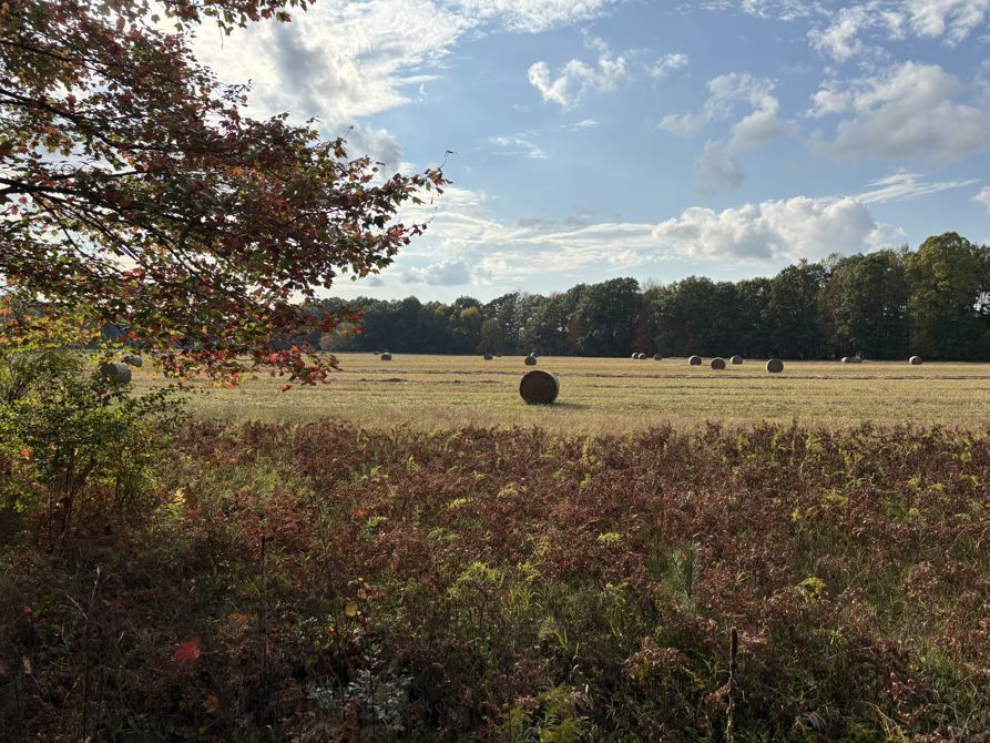 66 Miler- September 22, 2025