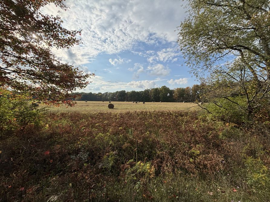 September 28, 2025 50 Miler