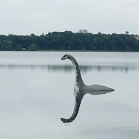 50245
