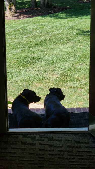 My First Blog