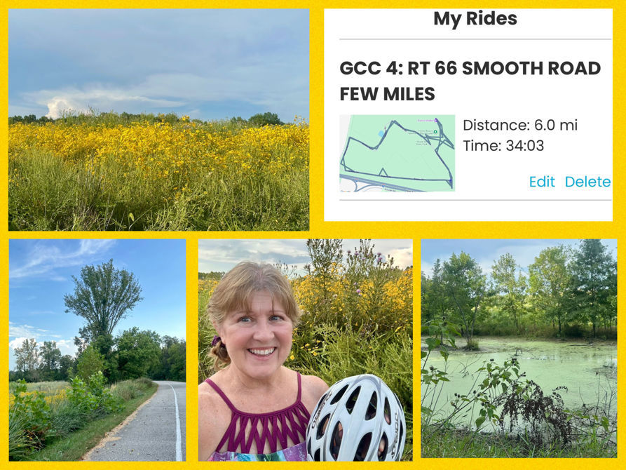 GCC 4: art 66 6mi with painful hand